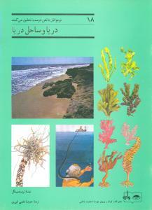عکس نوجوانان دانش‌دوست (دریا و ساحل دریا)