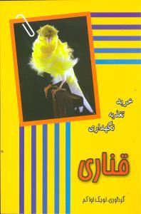 عکس قناری (خرید تغذیه نگهداری)