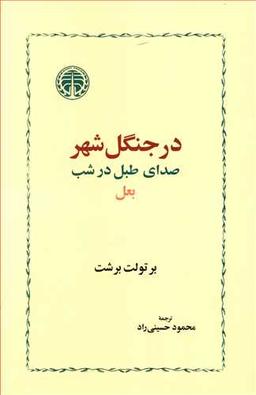 عکس در جنگل شهر