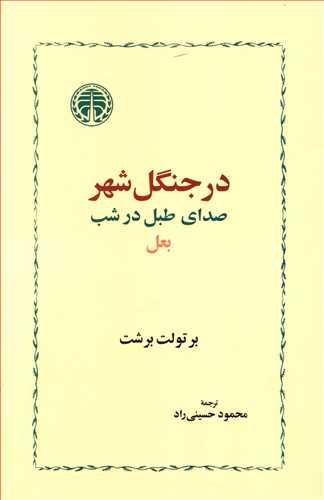 عکس در جنگل شهر