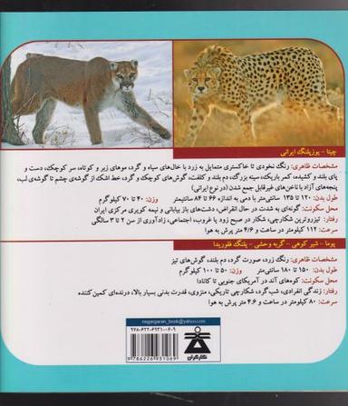 عکس رویاهای پوما