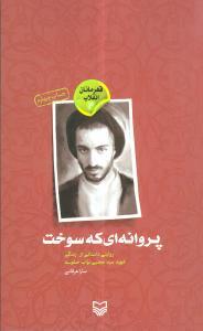 عکس پروانه‌ای که سوخت