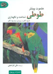 عکس طوطی (شناخت و نگهداری)
