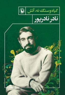 عکس گیاه و سنگ نه آتش