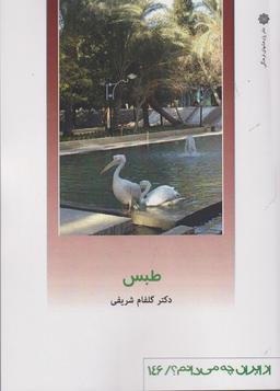 عکس طبس