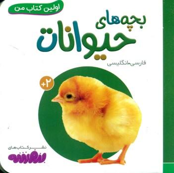 عکس بچه‌های حیوانات