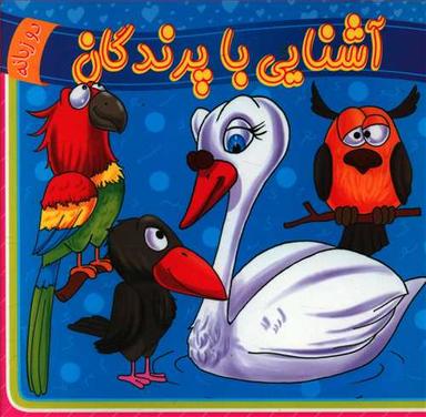 عکس آشنایی با پرندگان