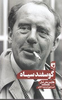 عکس گوسفند سیاه