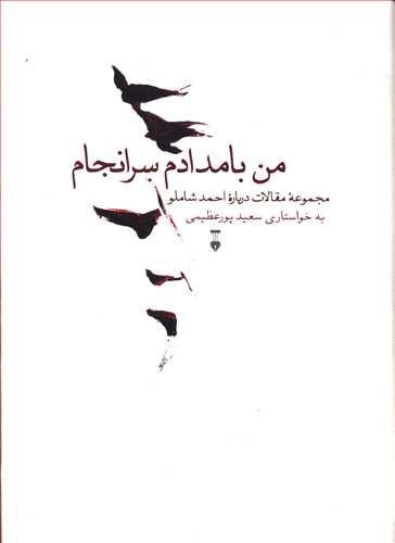 عکس من بامدادم سرانجام