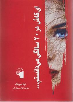 عکس چیزهایی که‌ای کاش در ۲۰ سالگی میدانستم