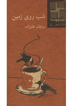 عکس شب روی زمین