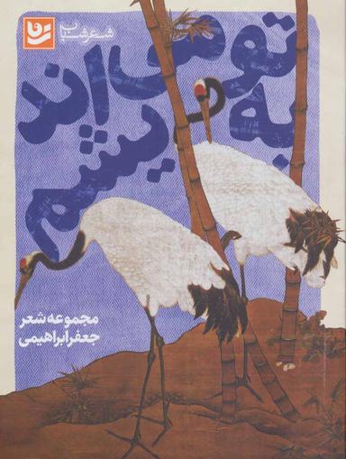 عکس به تو می‌اندیشم