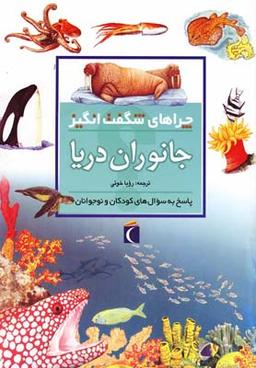 عکس چراهای شگفت انگیز جانوران دریا