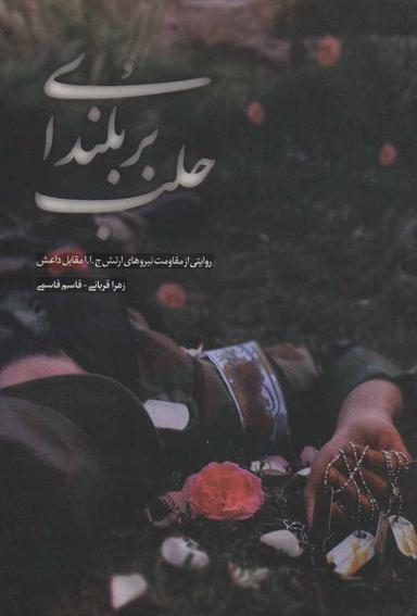 عکس بر بلندای حلب