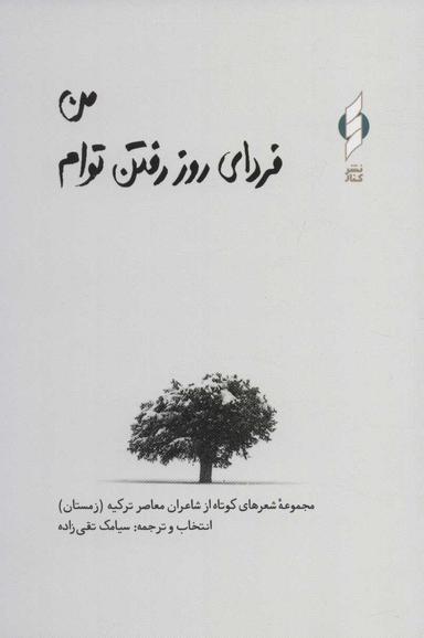 عکس من فردای روز رفتن توام زمستان