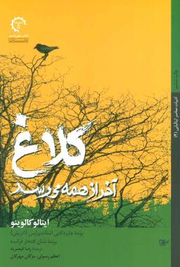 عکس کلاغ آخر از همه می‌رسد