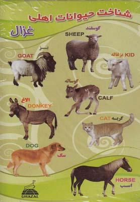 عکس مجموعه شناخت (حیوانات اهلی)