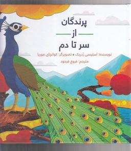 عکس پرندگان از سر تا دم