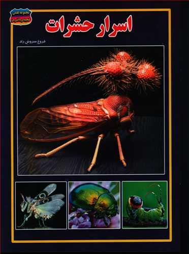 عکس اسرار حشرات