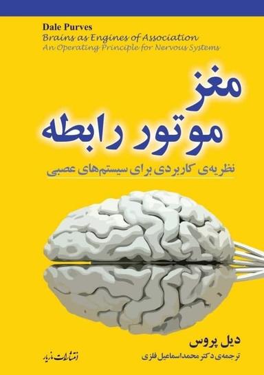 عکس مغز: موتور رابطه