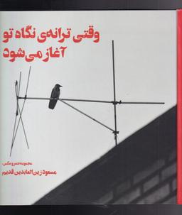 عکس وقتی ترانهٔ نگاه تو آغاز می‌شود