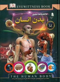 عکس بدن انسان