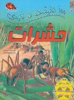 عکس ۱۰۰حقیقت دربارهٔ حشرات