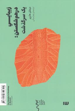 عکس زیبایی درهم‌شکستن