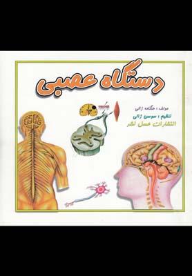 عکس دستگاه عصبی