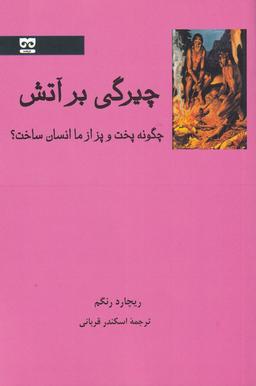 عکس چیرگی بر آتش