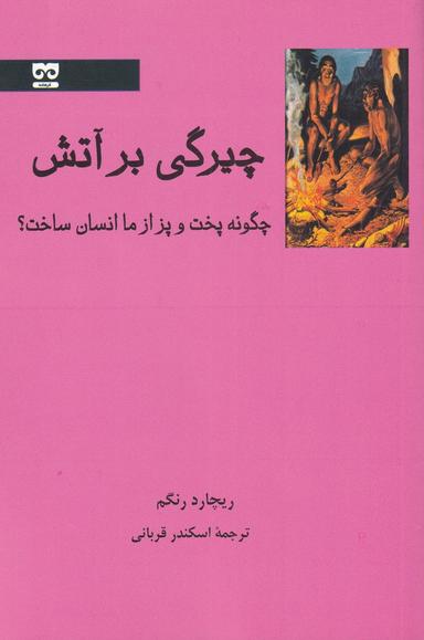 عکس چیرگی بر آتش