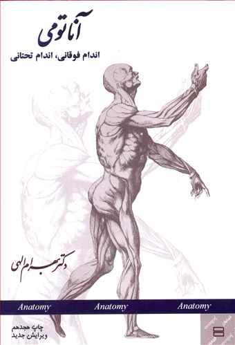 عکس آناتومی اندام فوقانی، اندام تحتانی