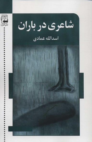عکس شاعری در باران