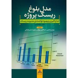 عکس مدل بلوغ ریسک پروژه