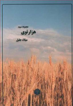 عکس هزارتوی