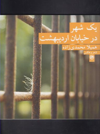 عکس یک شهر در خیابان اردیبهشت