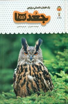 عکس یک فنجان دانستنی دربارهٔ جغدها