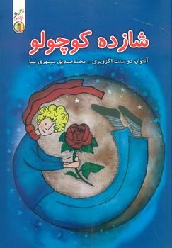 عکس شازده کوچولو