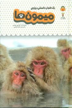 عکس یک فنجان دانستنی دربارهٔ میمون‌ها