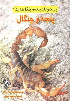 عکس چرا حیوانات پنجه و چنگال دارند؟