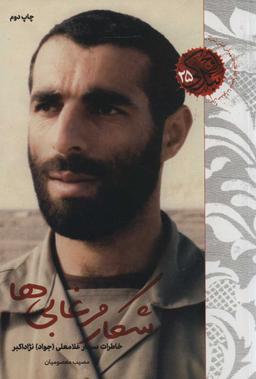 عکس شکار مرغابی‌ها