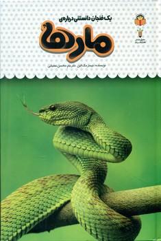 عکس یک فنجان دانستنی دربارهٔ مارها