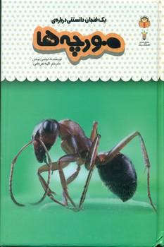 عکس یک فنجان دانستنی دربارهٔ مورچه‌ها