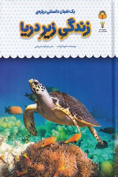 عکس یک فنجان دانستنی دربارهٔ زندگی زیر دریا