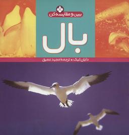 عکس بال