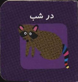عکس در شب