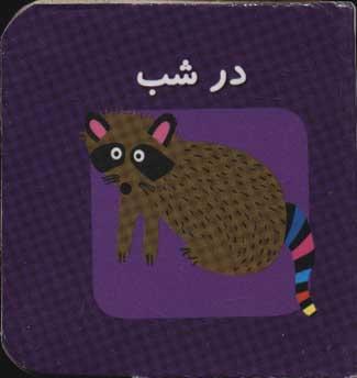 عکس در شب