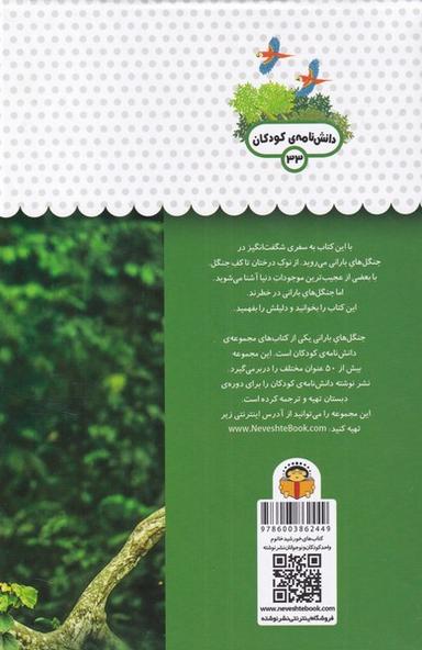 عکس یک فنجان دانستنی دربارهٔ جنگل‌های بارانی