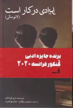 عکس آنومالی، ایرادی در کار است