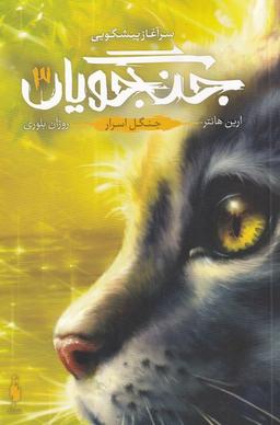 عکس جنگل اسرار